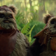 Like father like son, in more ways than one.